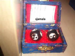 Sjamala in Bussum foto 1
